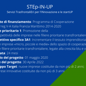 sintesi progetto