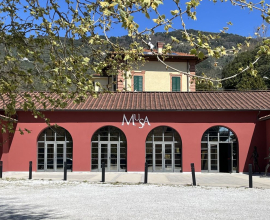 IL MUSA DI PIETRASANTA
